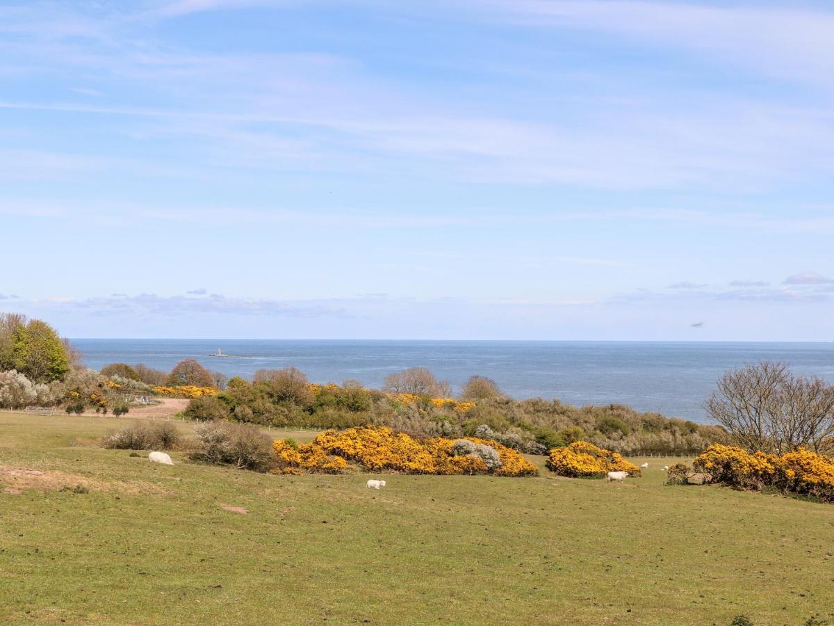 Bryn Hyfryd Caravan Penrhos-Lligwy Exterior photo